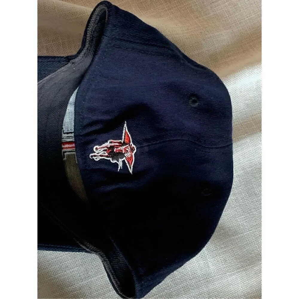 VTG Heisman by Reebok NCCAA‎ Texas Tech Raiders Baseball Cap Hat Blue OSFA